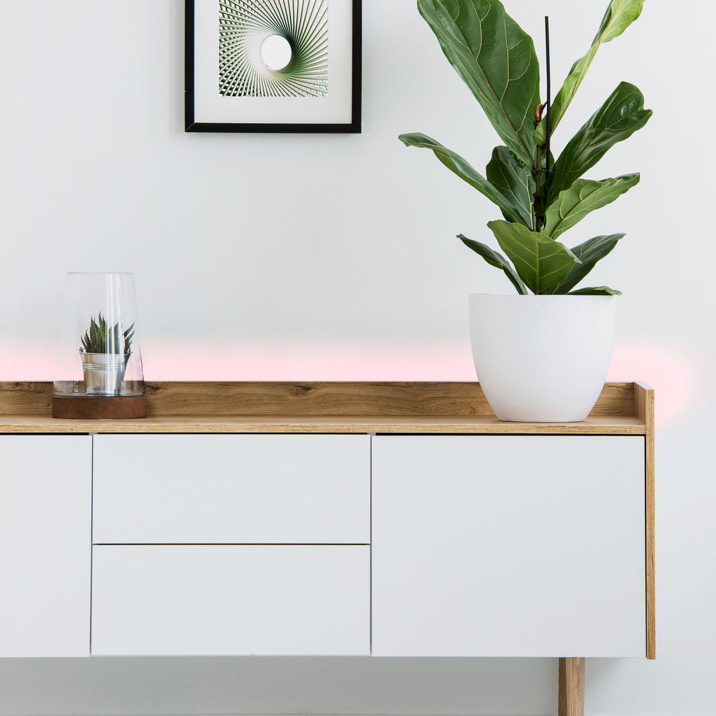 LED-stripe Stripe-C RGBW Bluetooth dimbar 300 cm detalj