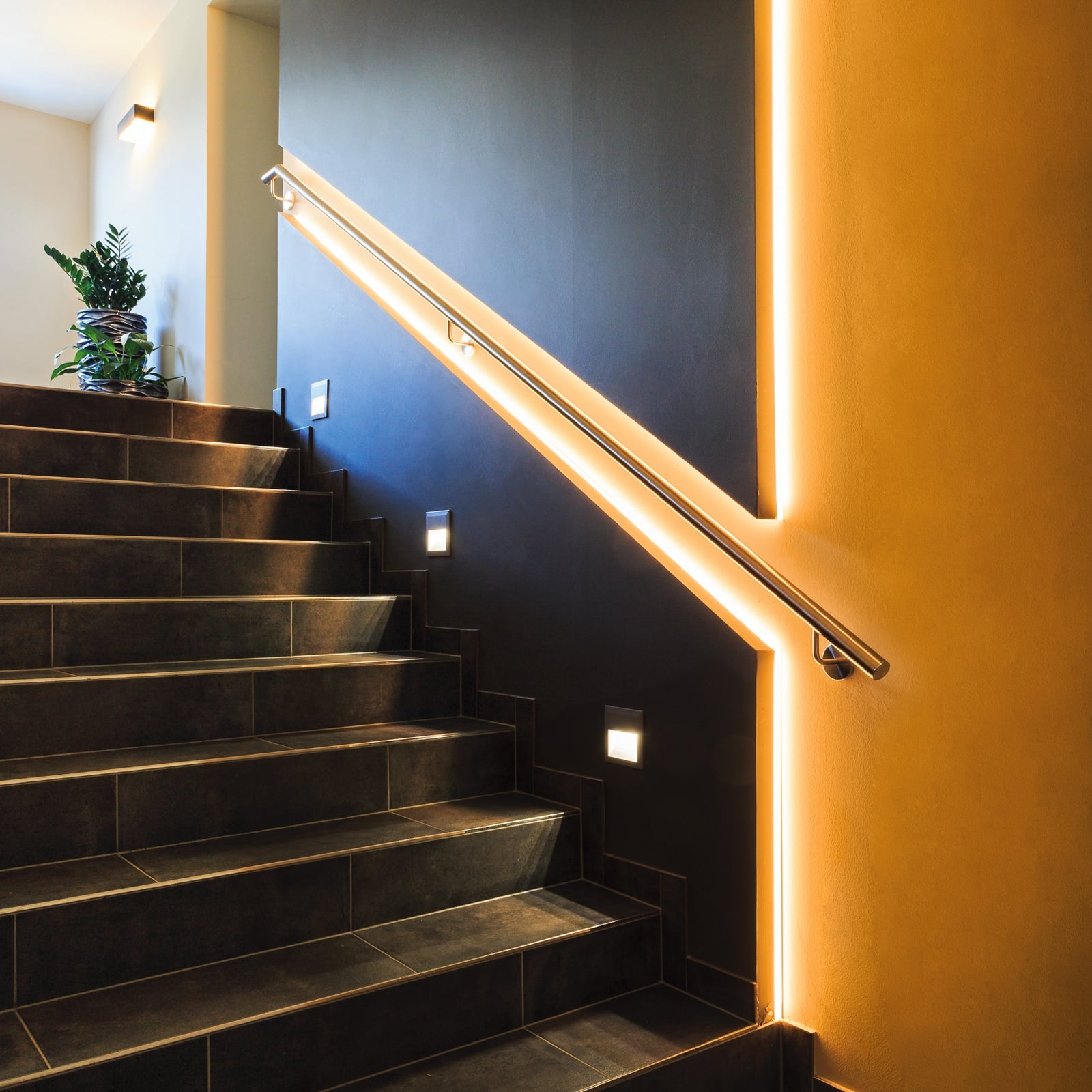 LED-stripe Stripe-Z 5 m RGBW dimbar Zigbee 9,2W - EGLO connect detalj