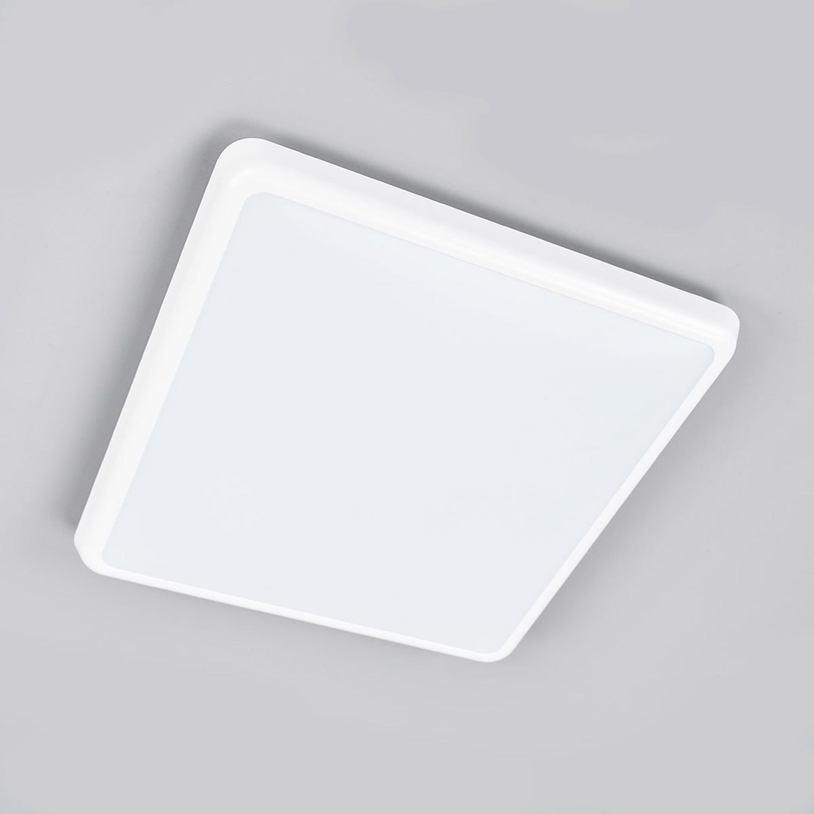 Nærbilde av LED taklampe Augustin hvit IP54 22W