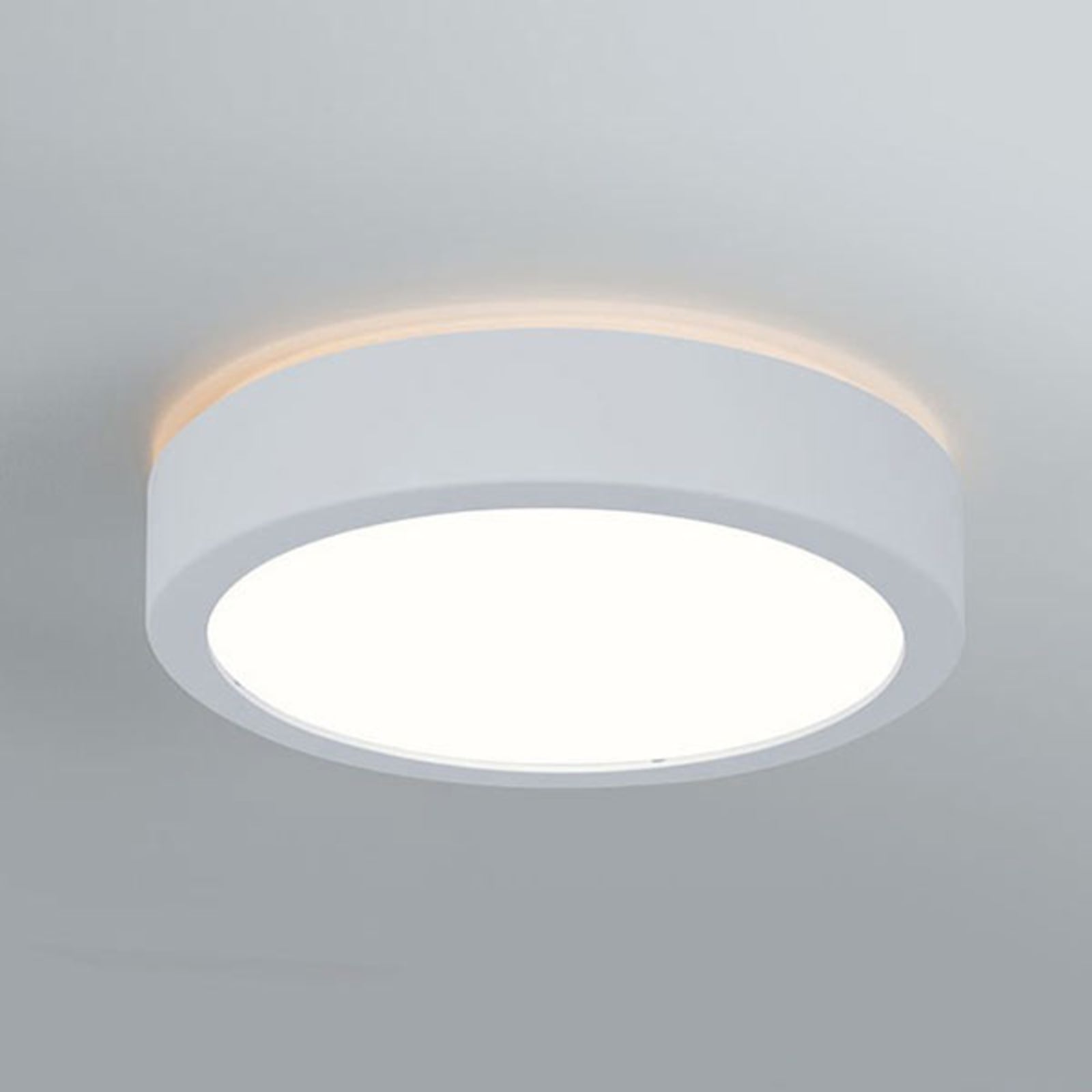 LED taklampe Aviar dimbar hvit Ø22 cm IP44 Paulmann forfra