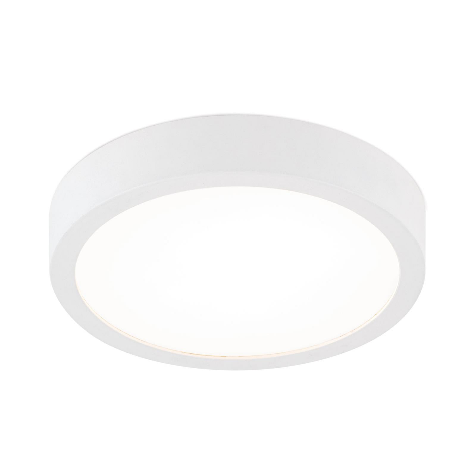 Bakside av LED taklampe Disc hvit Ø14 cm CCT dimbar 10W
