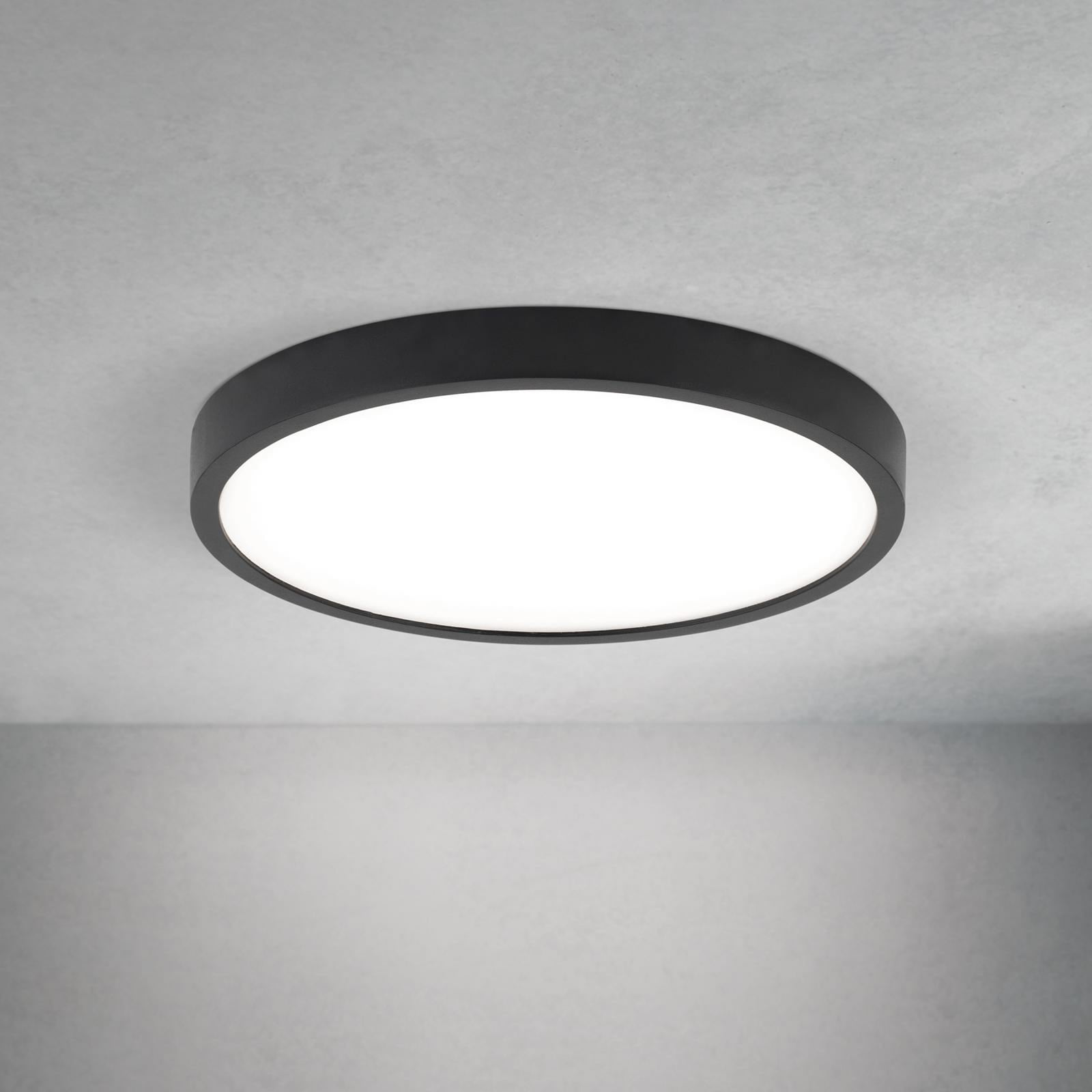 LED taklampe Disc svart Ø24 cm CCT dimbar 17W forfra