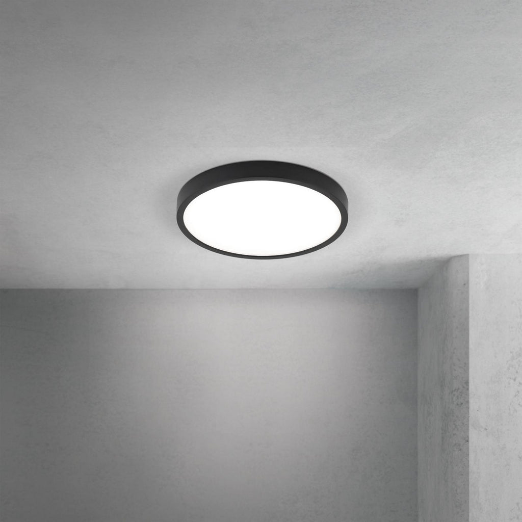 LED taklampe Disc svart Ø24 cm CCT dimbar 17W montert i rom