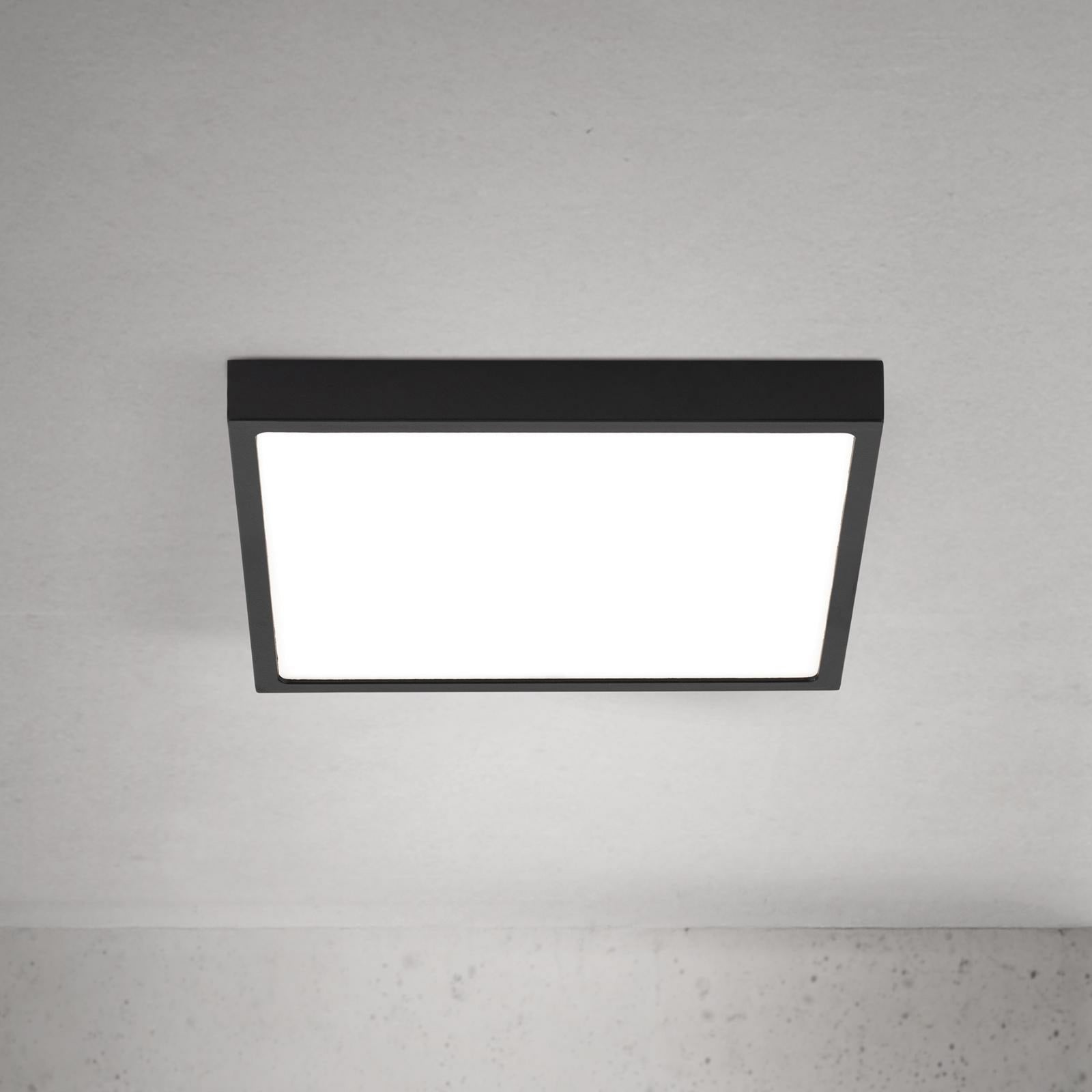 LED taklampe Disc svart 24x24 cm 20W dimbar CCT forfra
