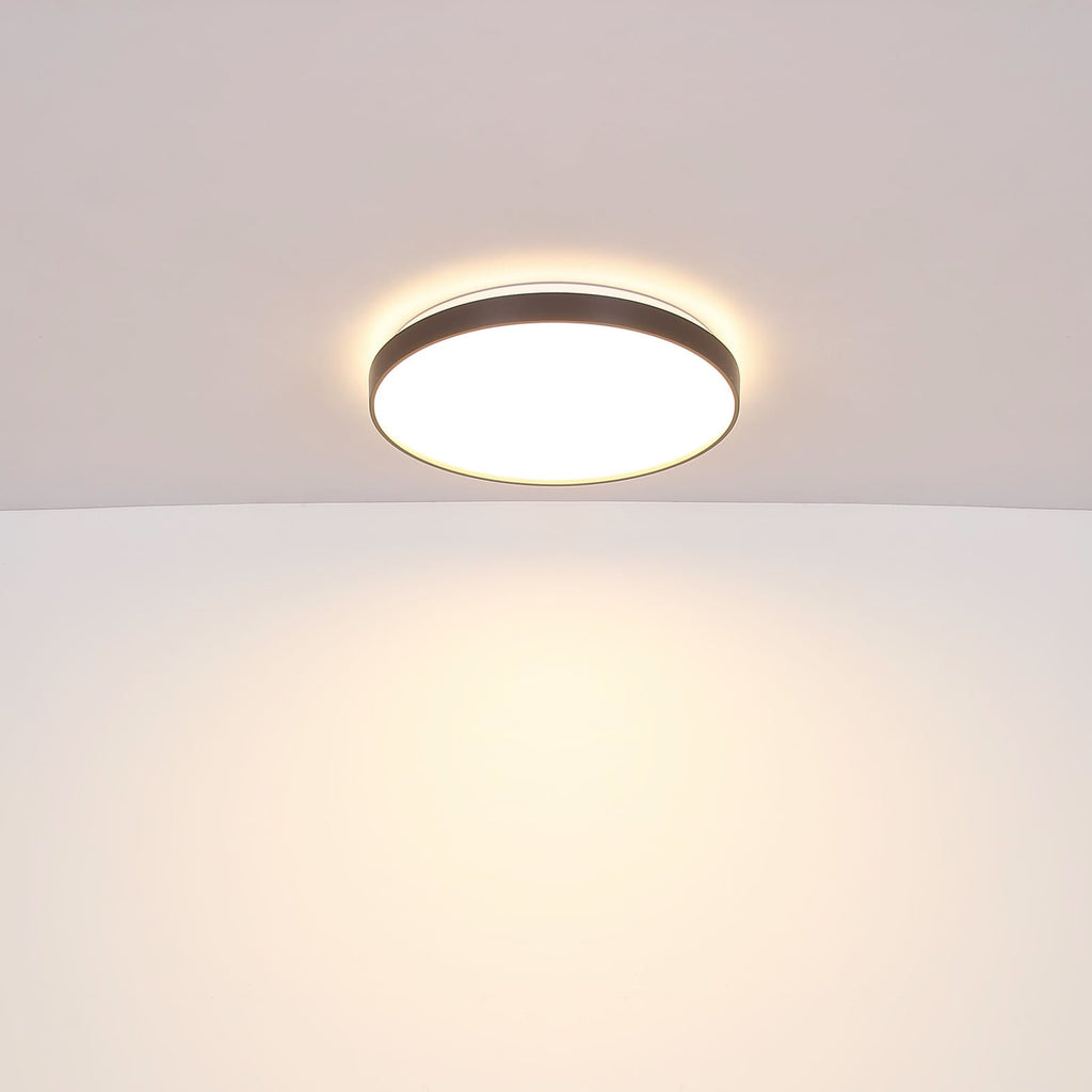 LED taklampe Eclypse antrasitt Ø48 cm 24W varmhvit fra siden