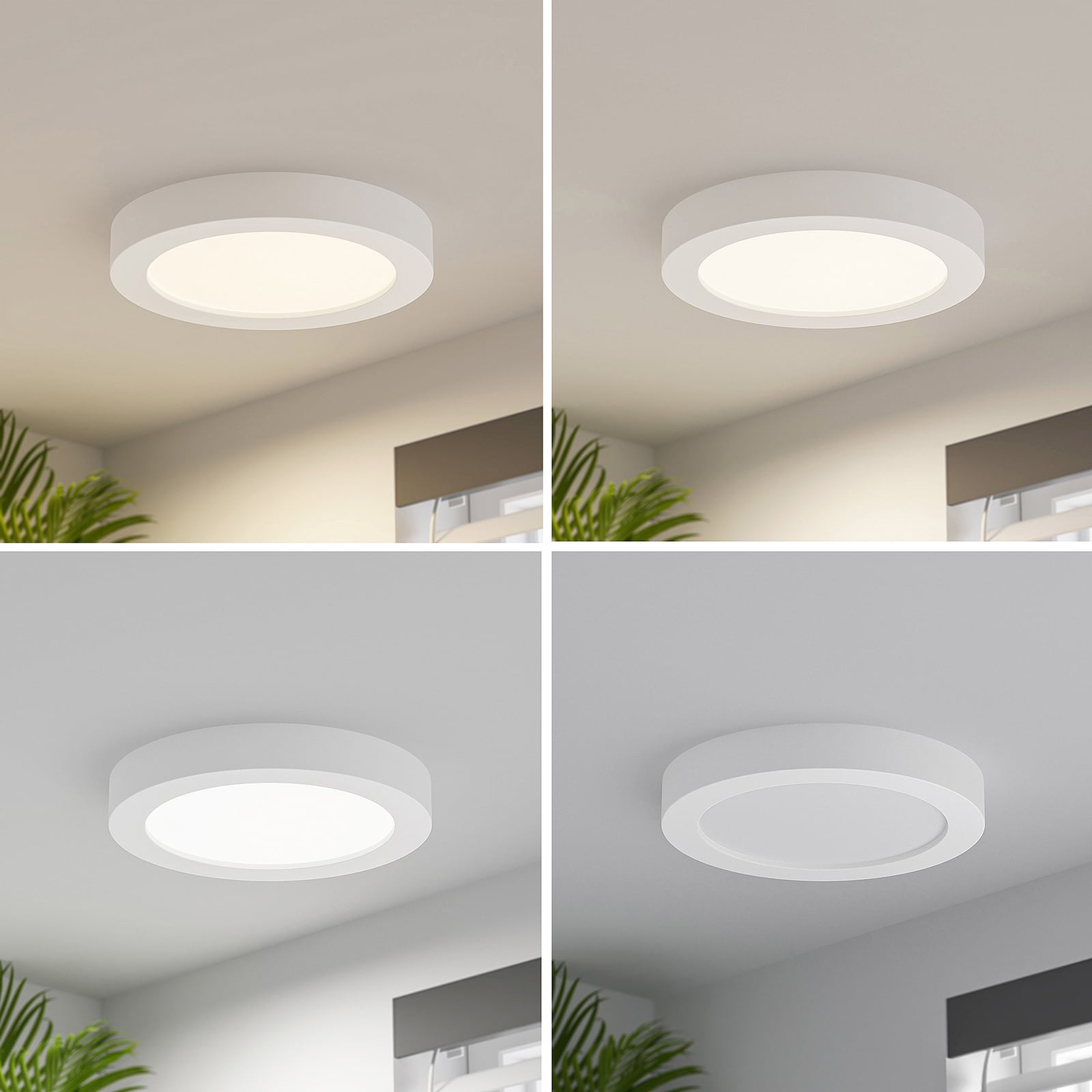 LED taklampe Edwina hvit Ø25 cm bakside og DIP-bryter