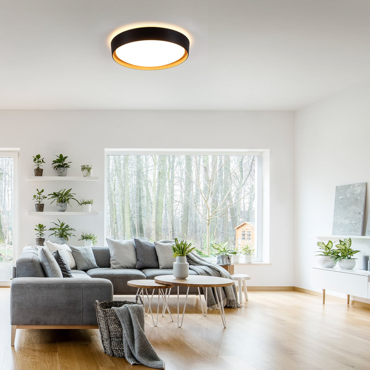 LED taklampe Emilia dimbar svart bakside