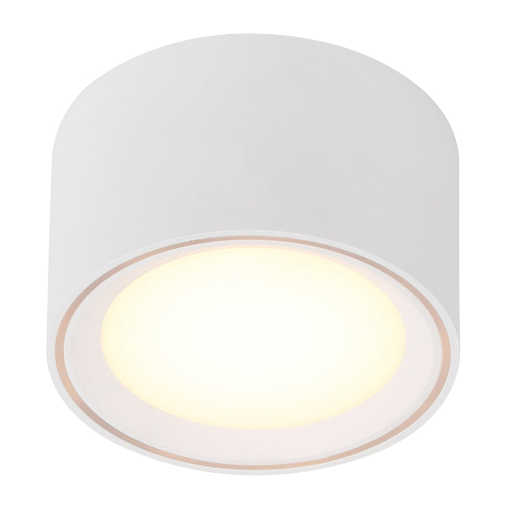 LED taklampe Fallon dimbar hvit Ø10 cm 2700K montert