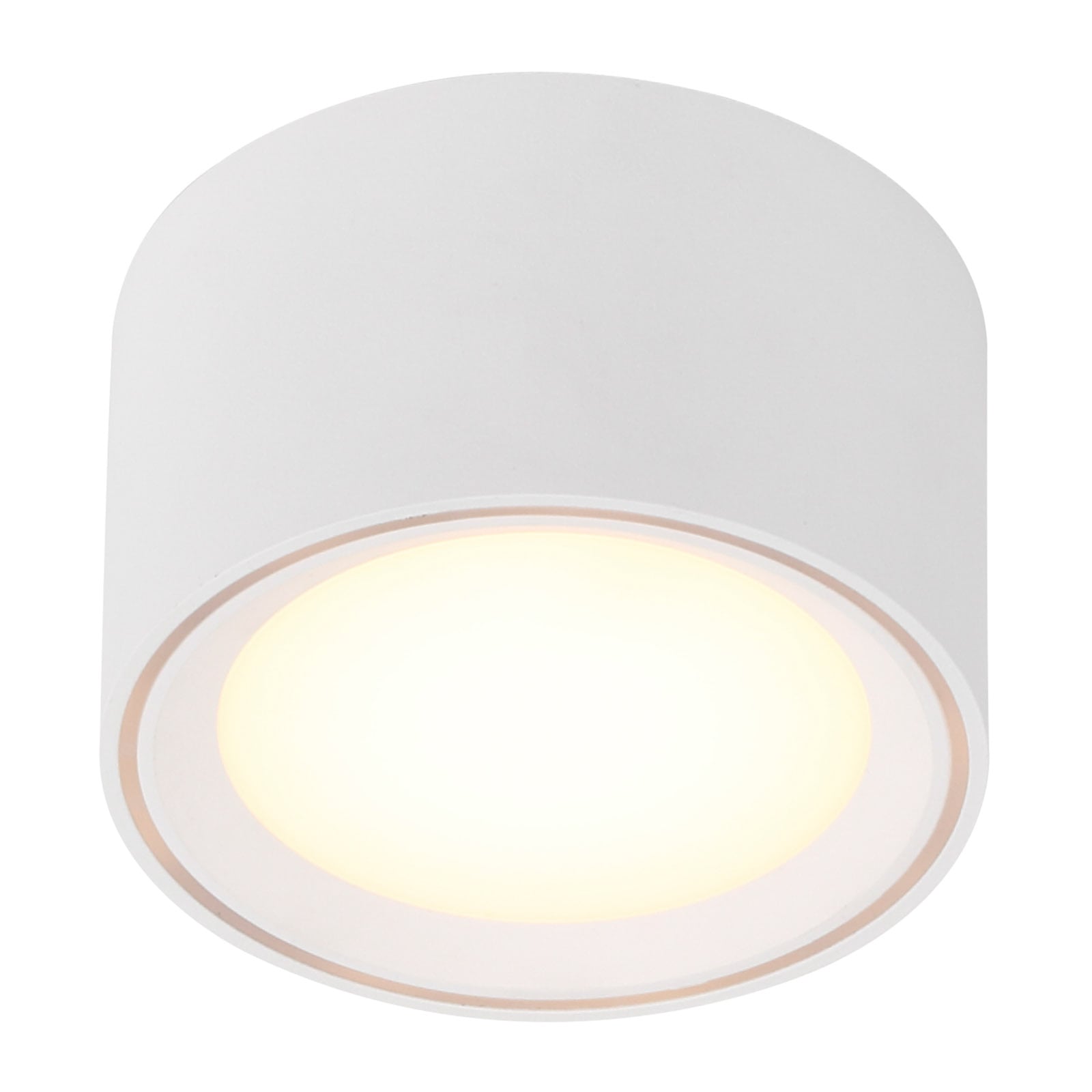 LED taklampe Fallon dimbar hvit Ø10 cm 2700K montert