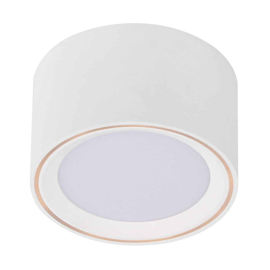 LED taklampe Fallon dimbar hvit Ø10 cm 2700K nærbilde