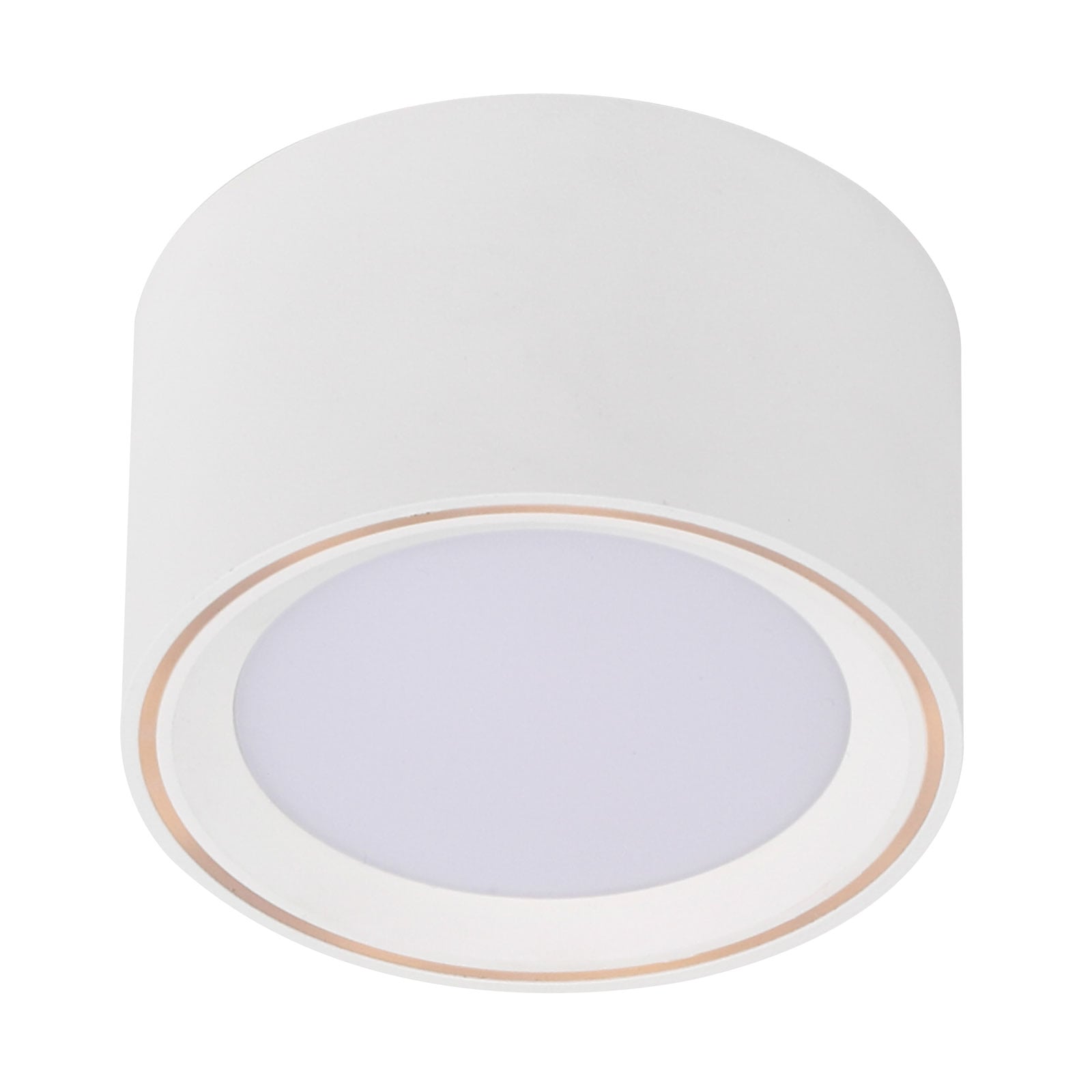 LED taklampe Fallon dimbar hvit Ø10 cm 2700K nærbilde