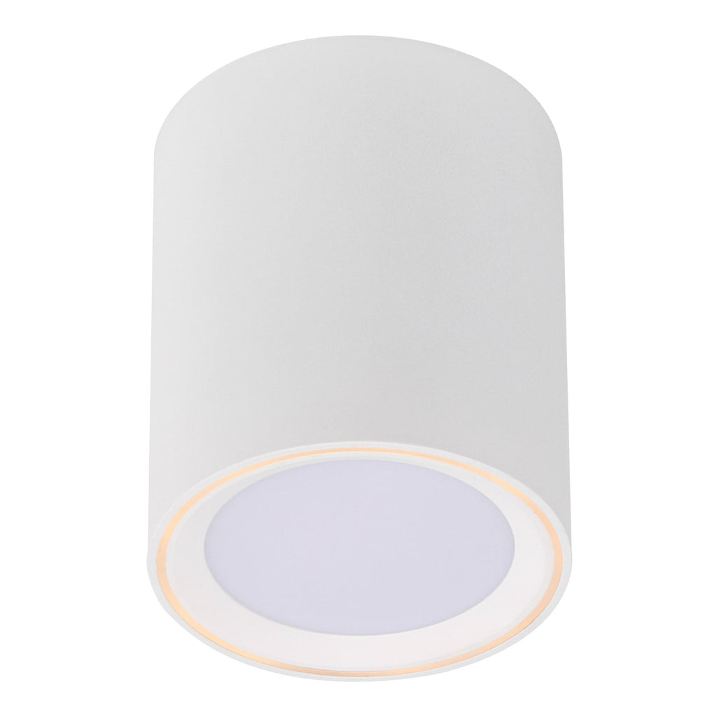 LED taklampe Fallon hvit dimbar bakside