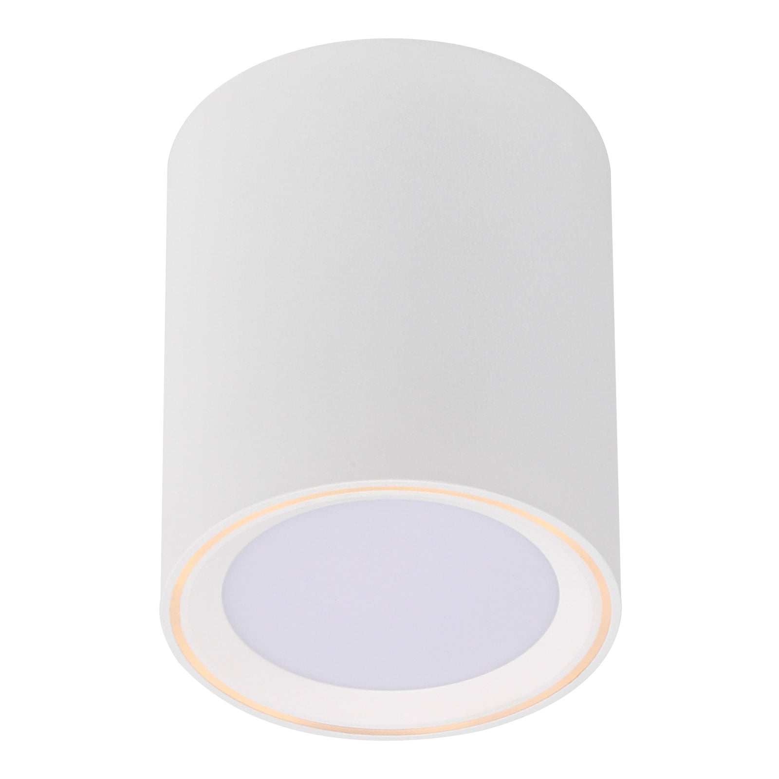 LED taklampe Fallon hvit dimbar bakside