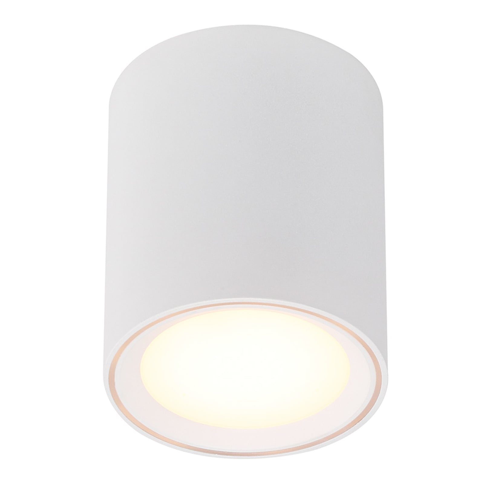 LED taklampe Fallon hvit dimbar montert