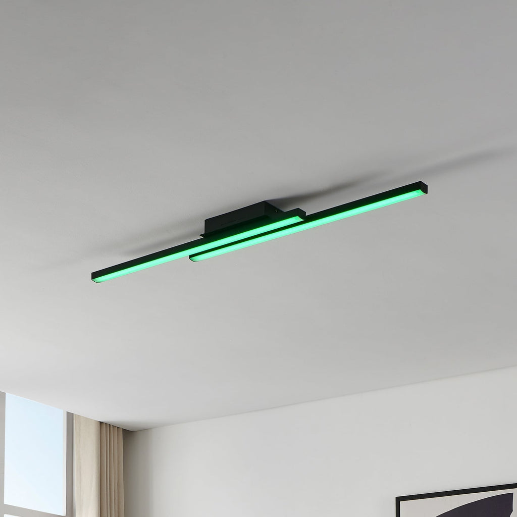 LED taklampe Fraioli-Z smart dimbar RGB 105 cm svart detalj
