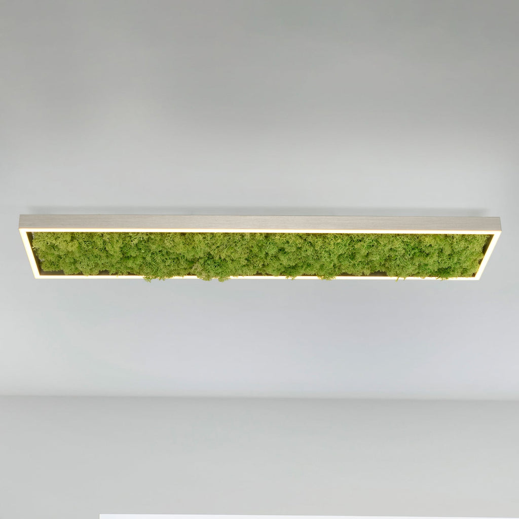 LED taklampe Green Knut med ekte mose forfra