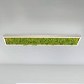 LED taklampe Green Knut med ekte mose forfra