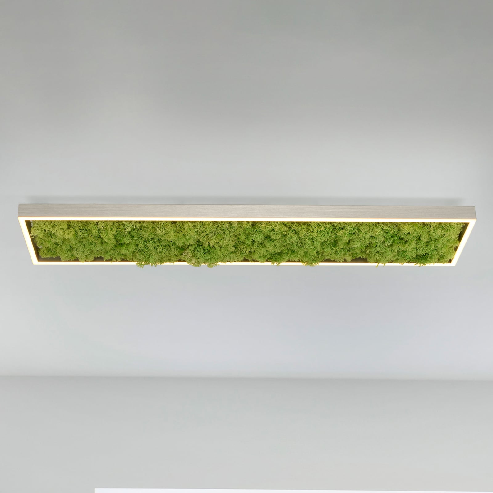 LED taklampe Green Knut med ekte mose forfra