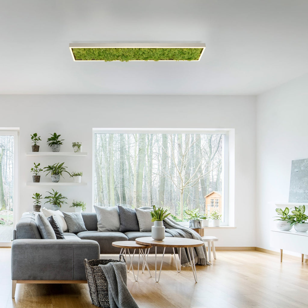 LED taklampe Green Knut med ekte mose bakside