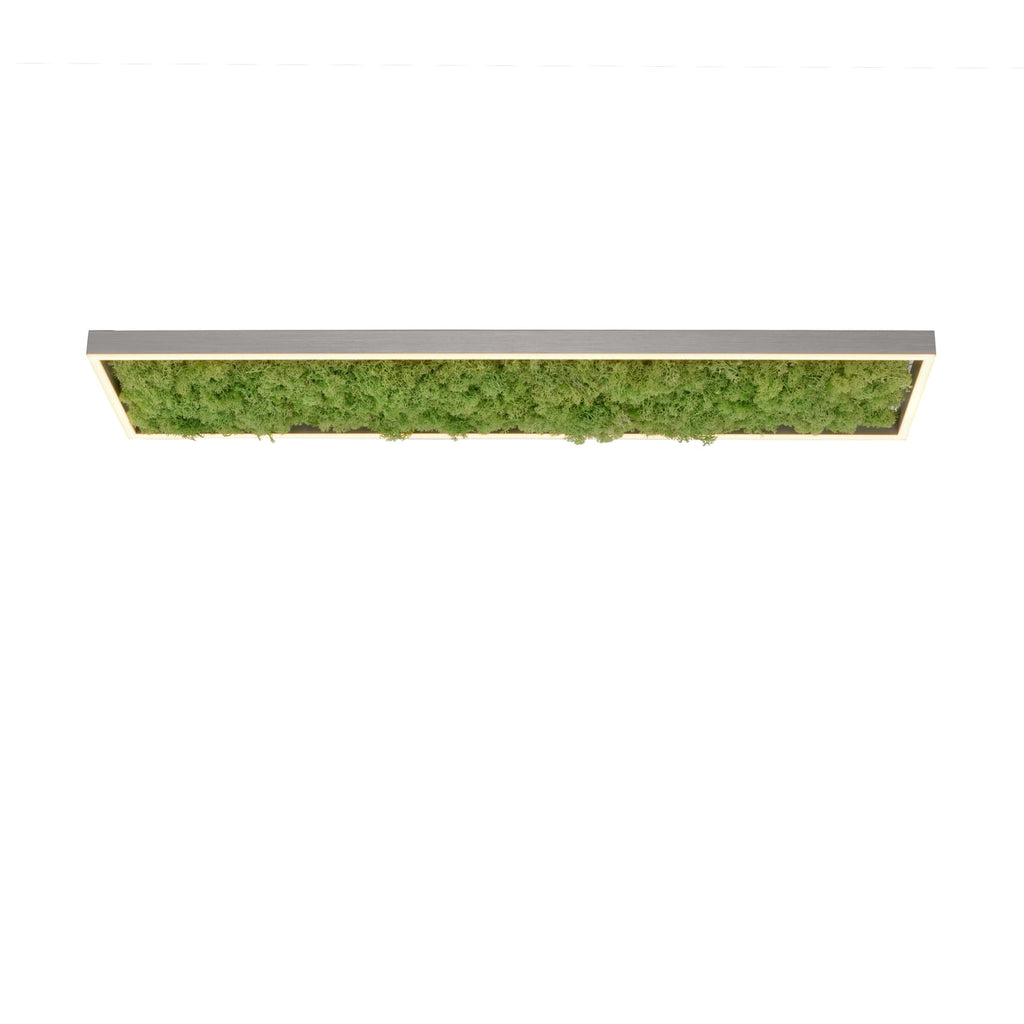 Detalj av ekte mose på LED taklampe Green Knut