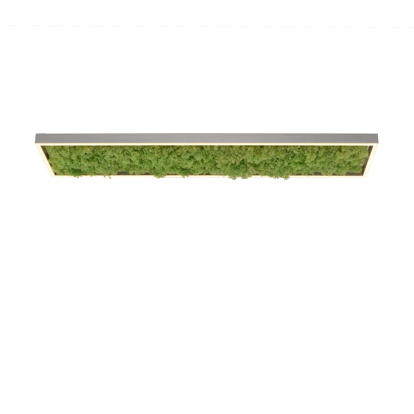 Detalj av ekte mose på LED taklampe Green Knut
