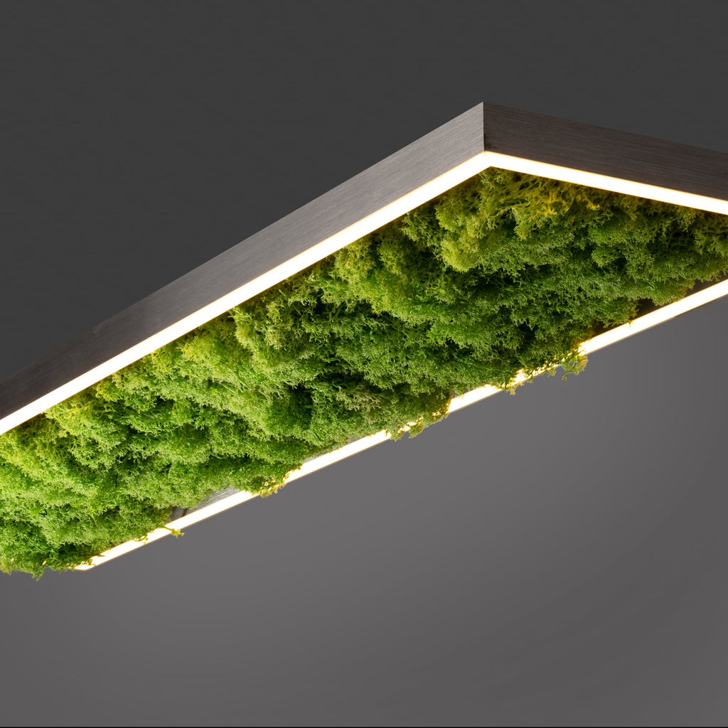 Nærbilde av dimmer på LED taklampe Green Knut