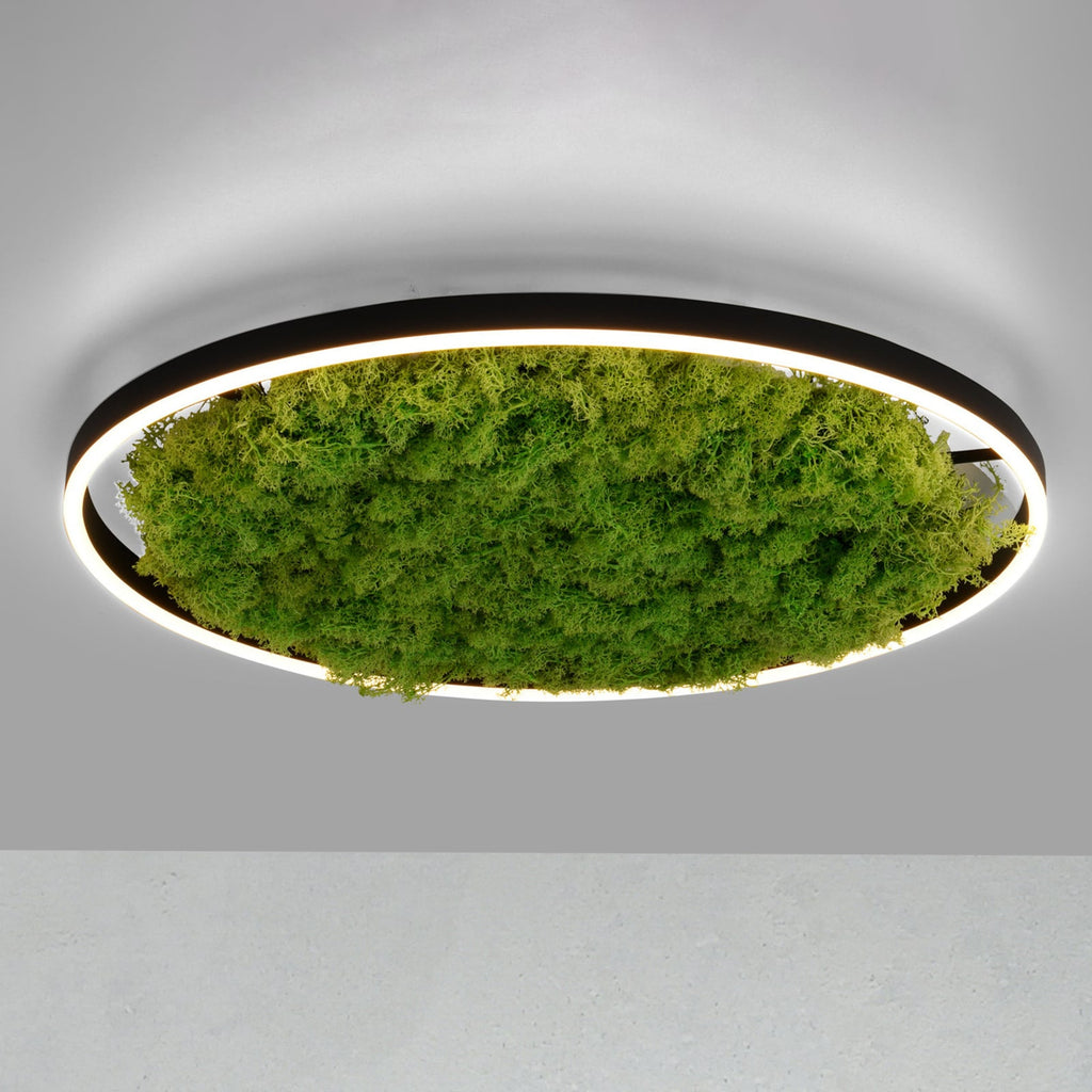 LED taklampe Green Ritus med mose dimbar svart forfra
