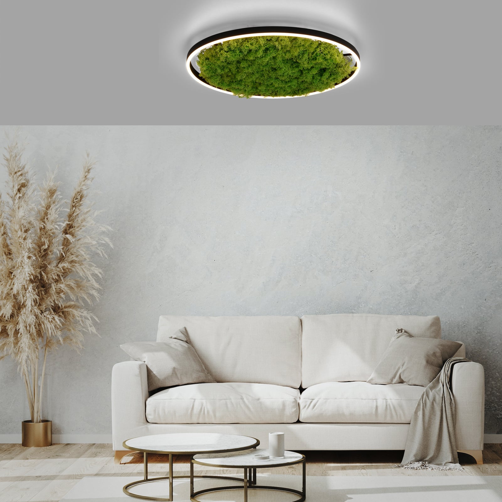 LED taklampe Green Ritus med mose dimbar svart bakside