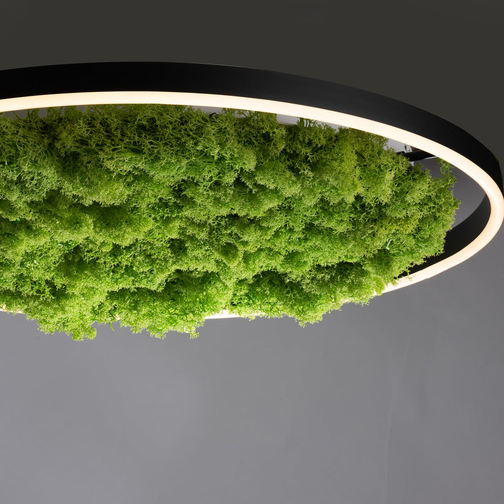 Nærbilde av dimmer på LED taklampe Green Ritus med mose dimbar svart