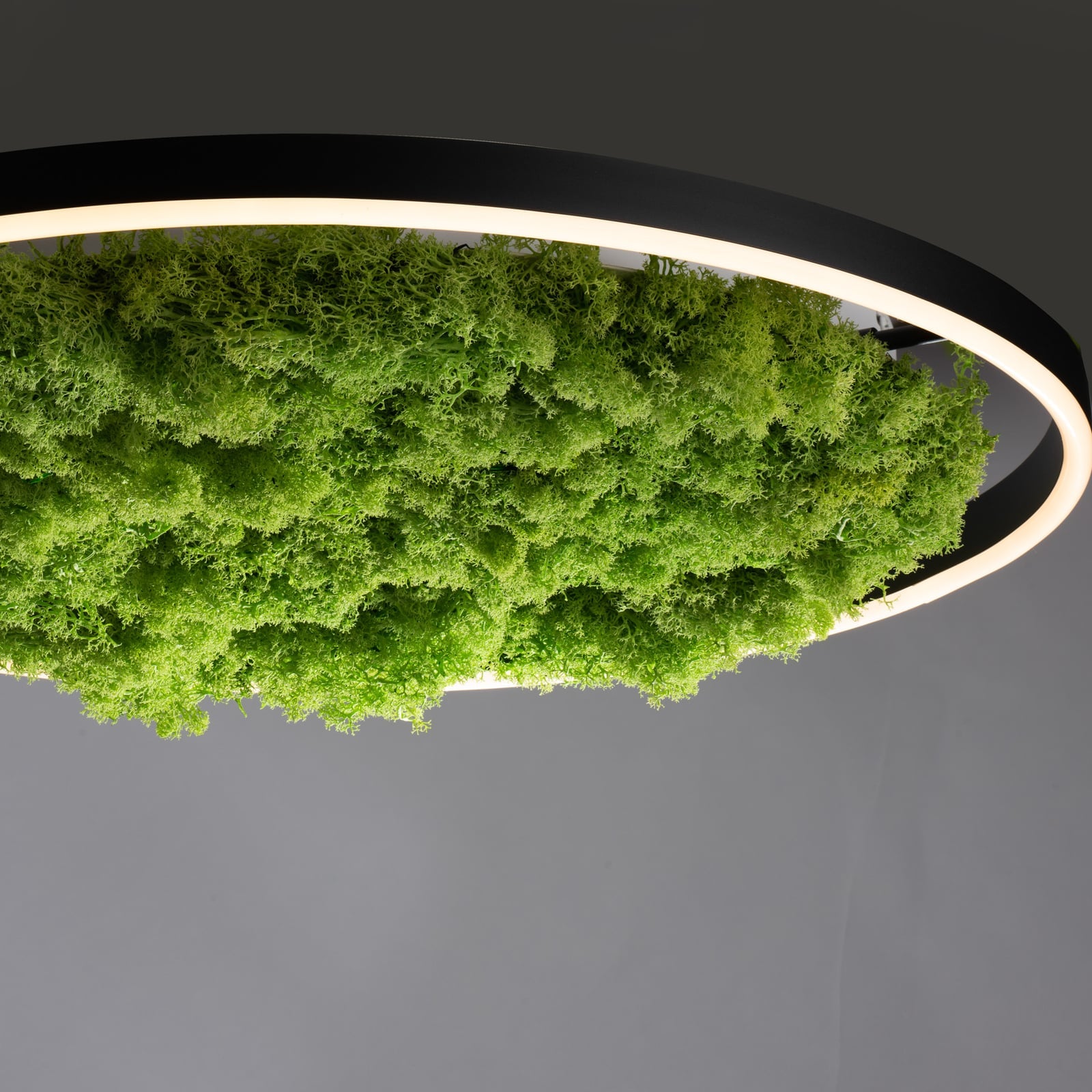 Nærbilde av dimmer på LED taklampe Green Ritus med mose dimbar svart