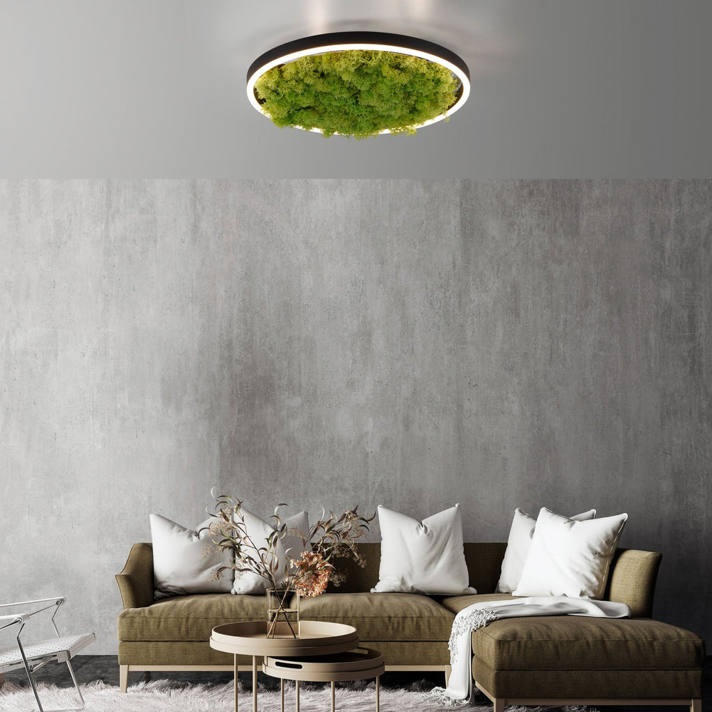 LED taklampe Green Ritus med mose dimbar Ø39,3 cm svart forfra