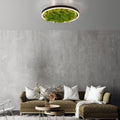 LED taklampe Green Ritus med mose dimbar Ø39,3 cm svart forfra