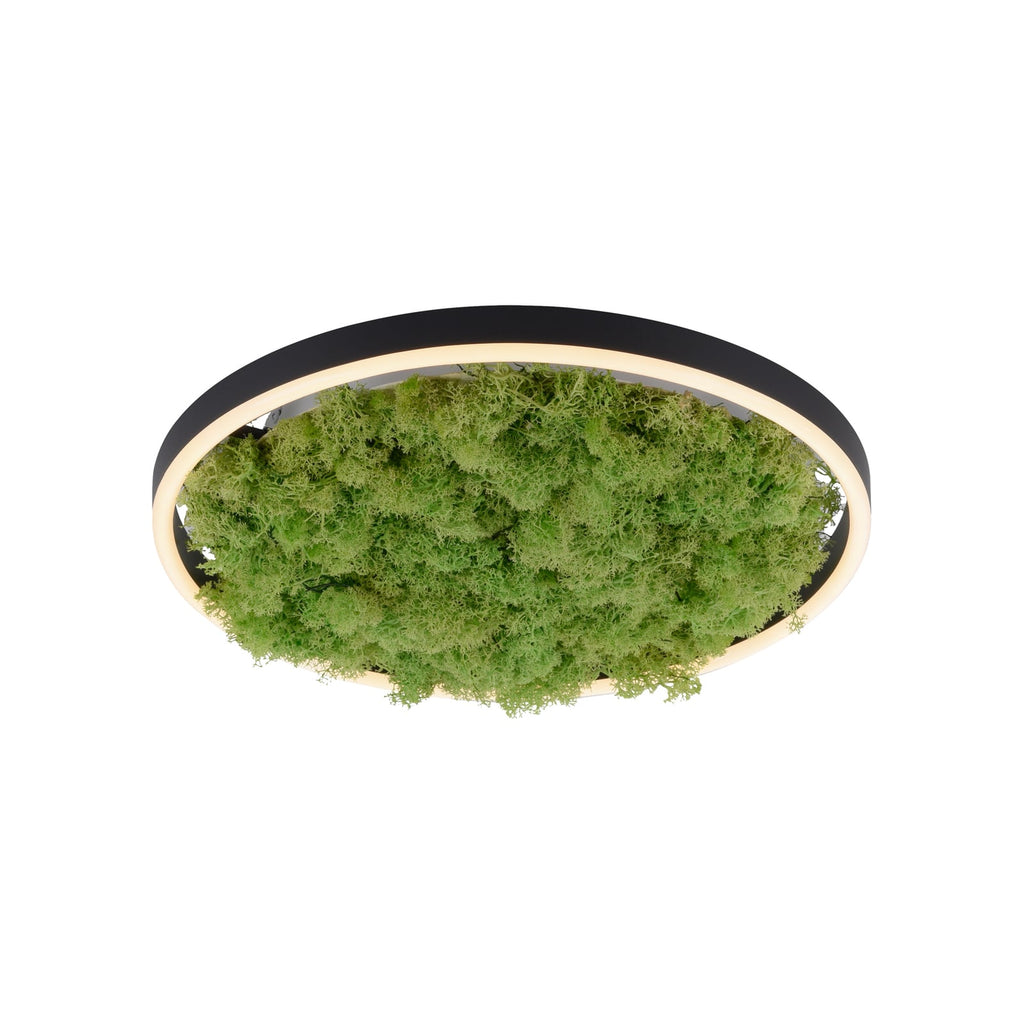 LED taklampe Green Ritus med mose dimbar Ø39,3 cm svart bakside