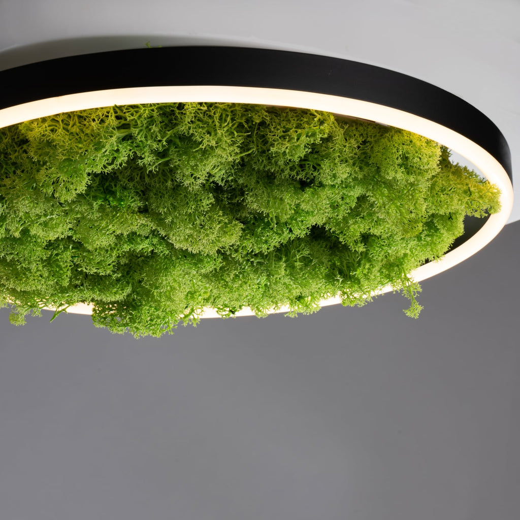 Montert LED taklampe Green Ritus med mose dimbar Ø39,3 cm svart i rom