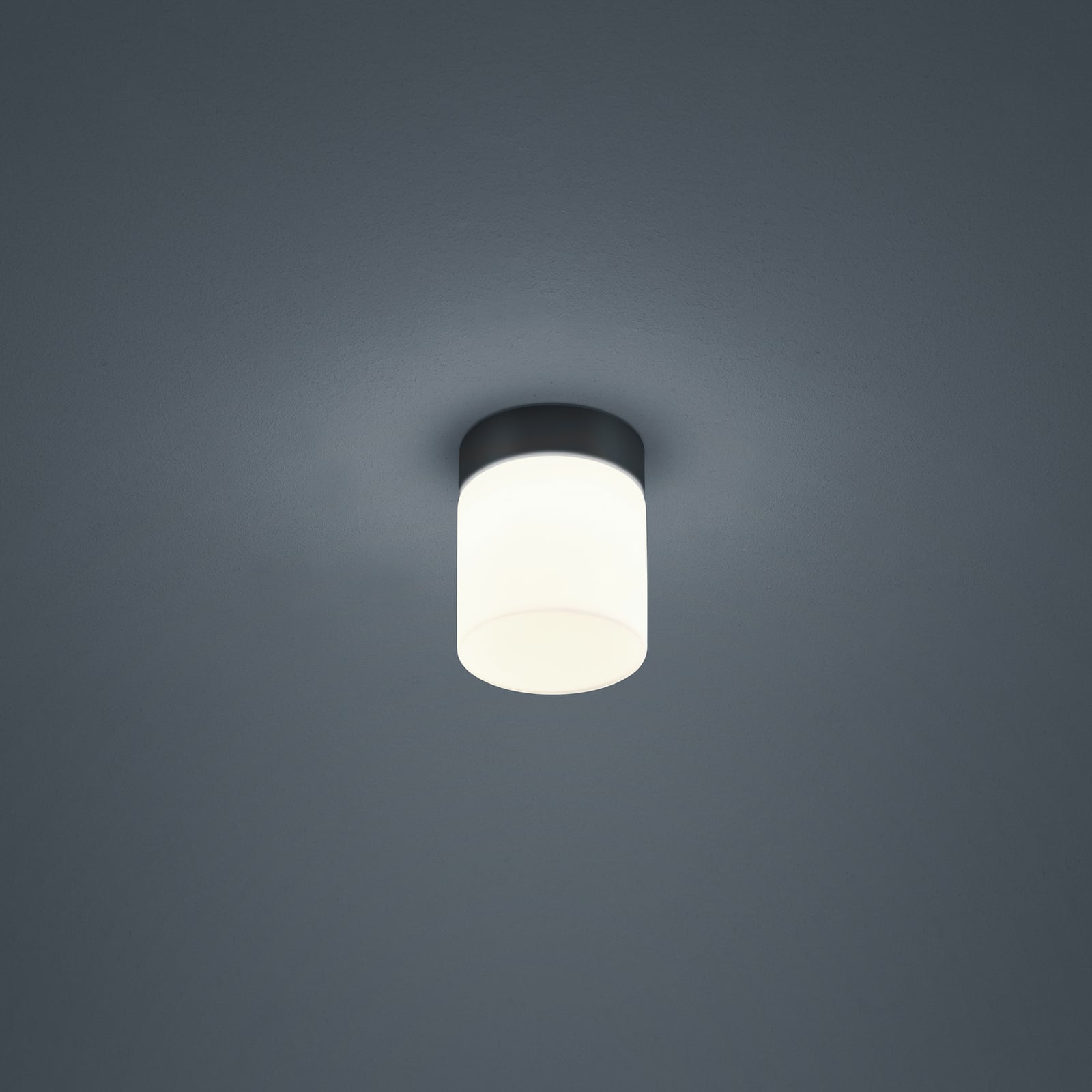 LED taklampe Keto sylinder opalglass svart matt IP44 forfra