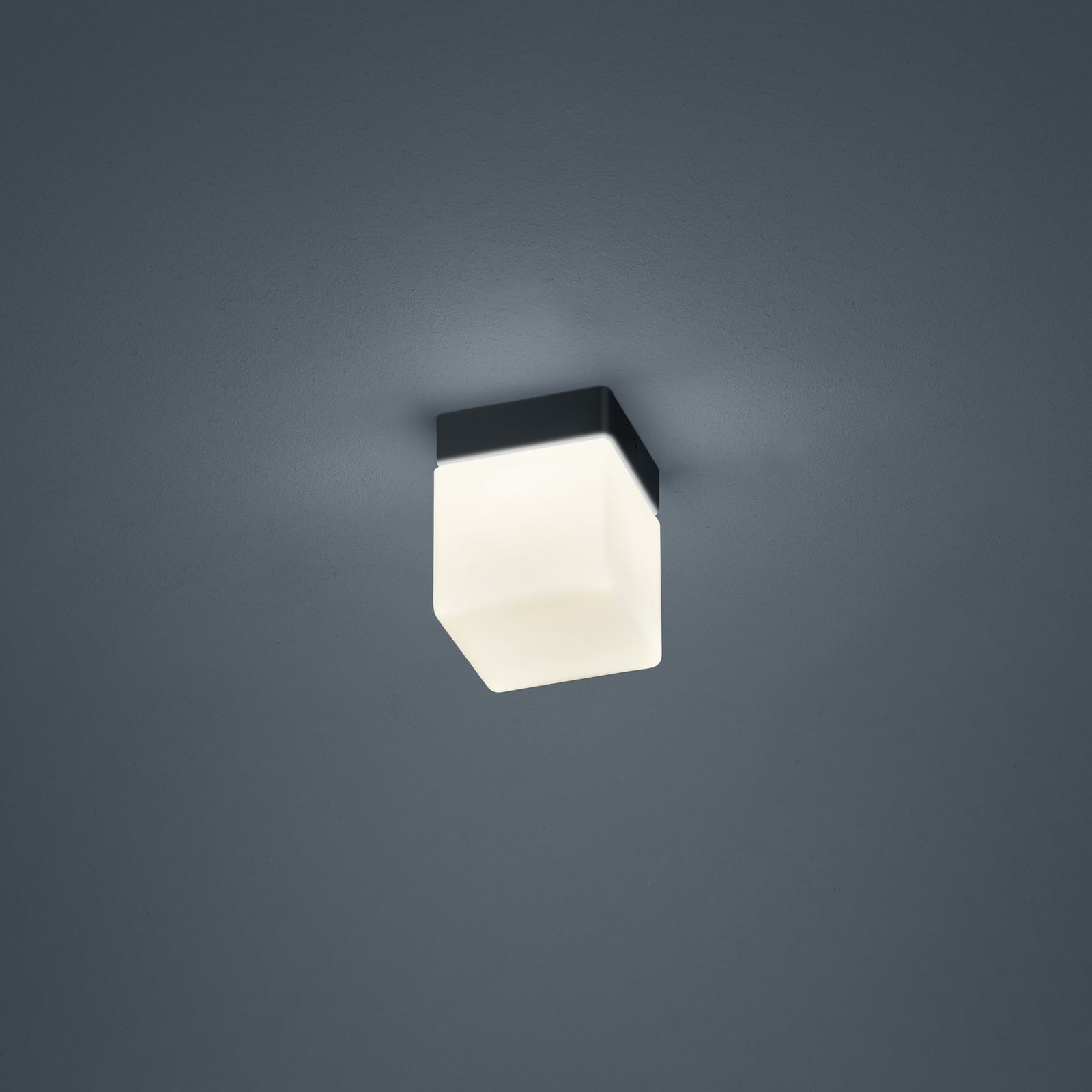 LED taklampe Keto terningform svart opalglass IP44 for baderom