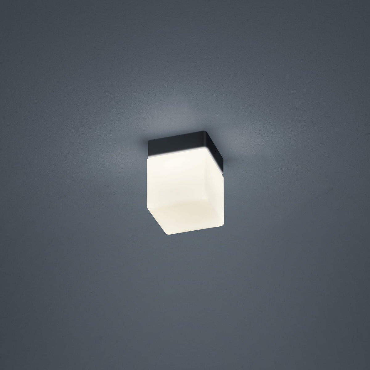 LED taklampe Keto terningform svart opalglass IP44 for baderom