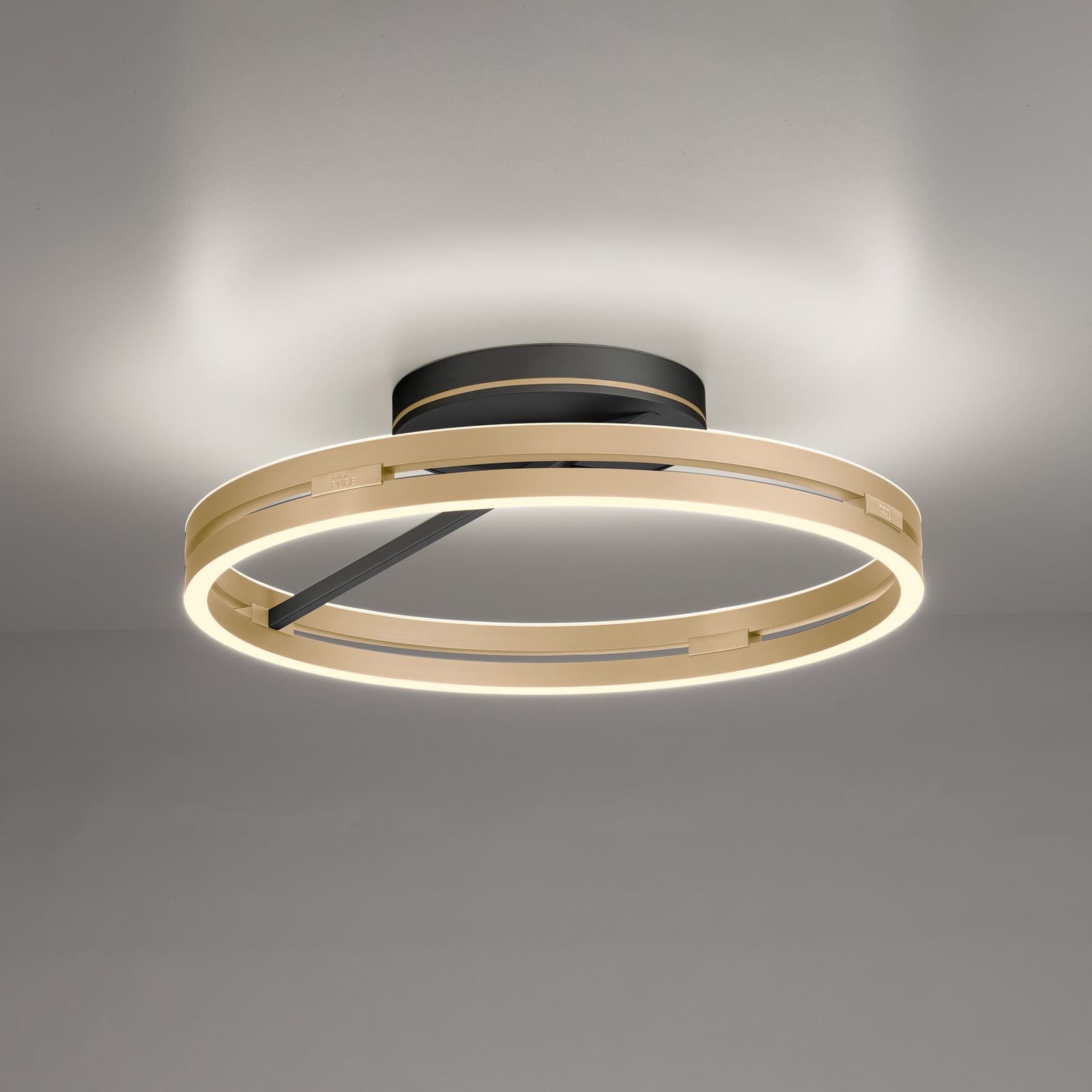 LED taklampe Loop ring CCT dimbar Ø60 cm med fjernkontroll - PURE forfra