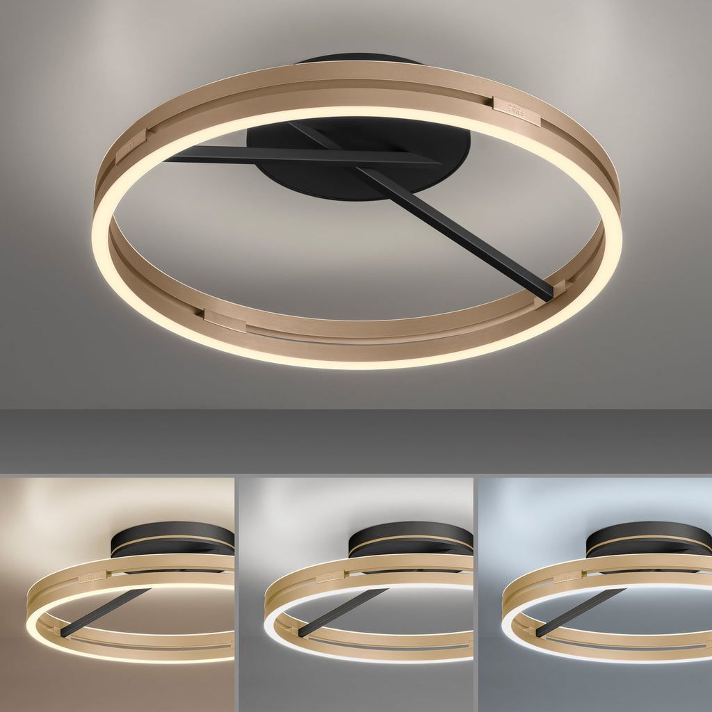 LED taklampe Loop ring CCT dimbar Ø60 cm med fjernkontroll - PURE med fjernkontroll