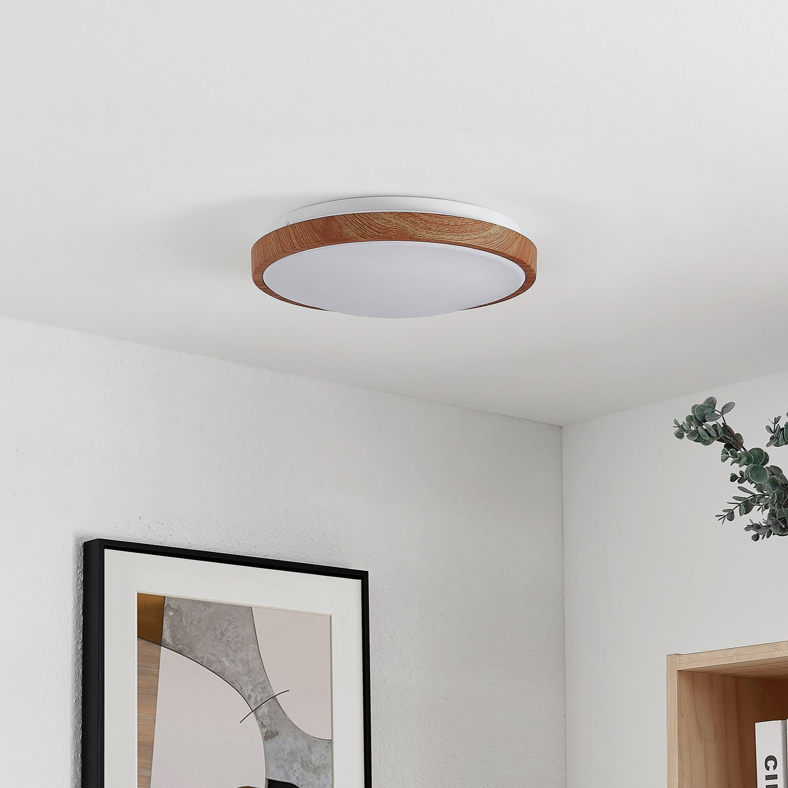 Bakside av LED taklampe Mynte rund trefarget/hvit