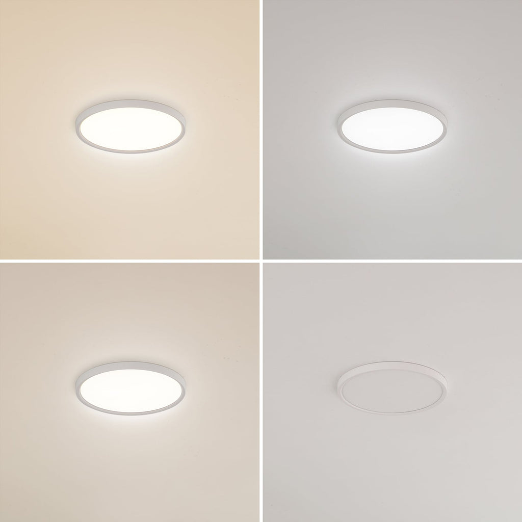LED taklampe Pravin rund hvit matt lysmodus dagslys