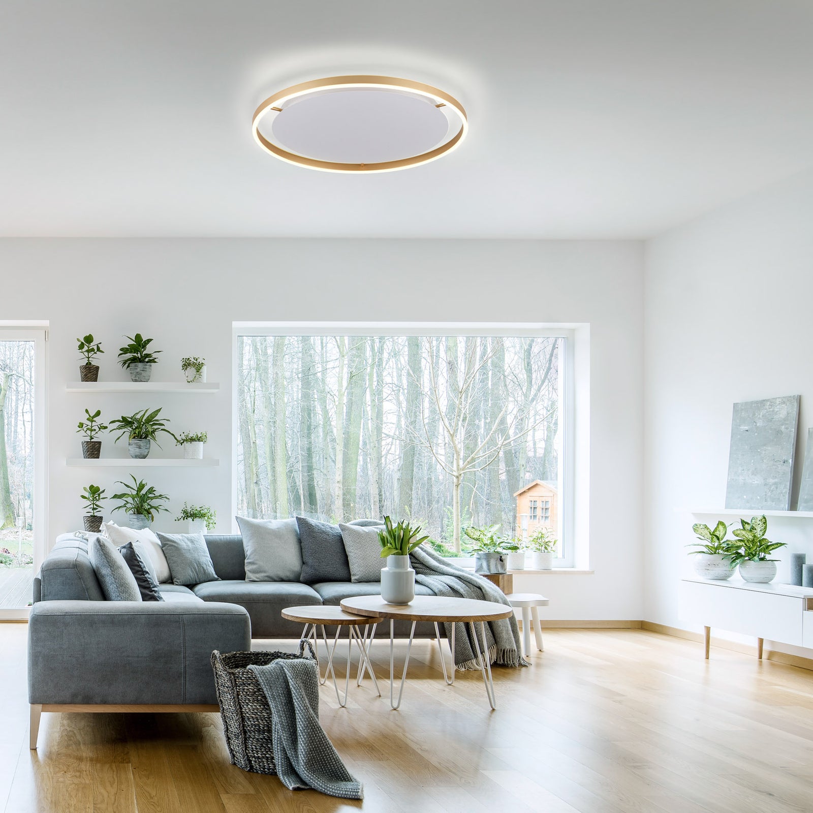 LED taklampe Ritus dimbar matt messing Ø58,5 cm med dimmer