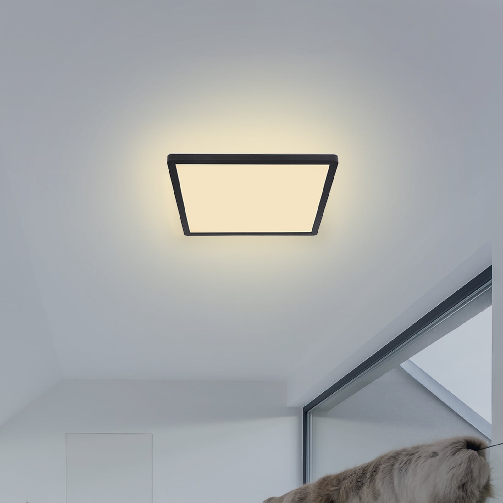 LED taklampe Sapana kvadratisk dimbar svart bakside