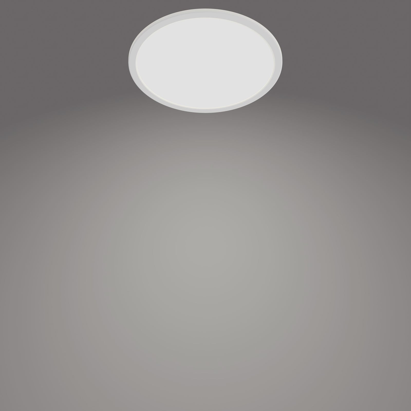 LED taklampe SuperSlim dimbar hvit Ø24,5 cm 4000K IP44 bakside