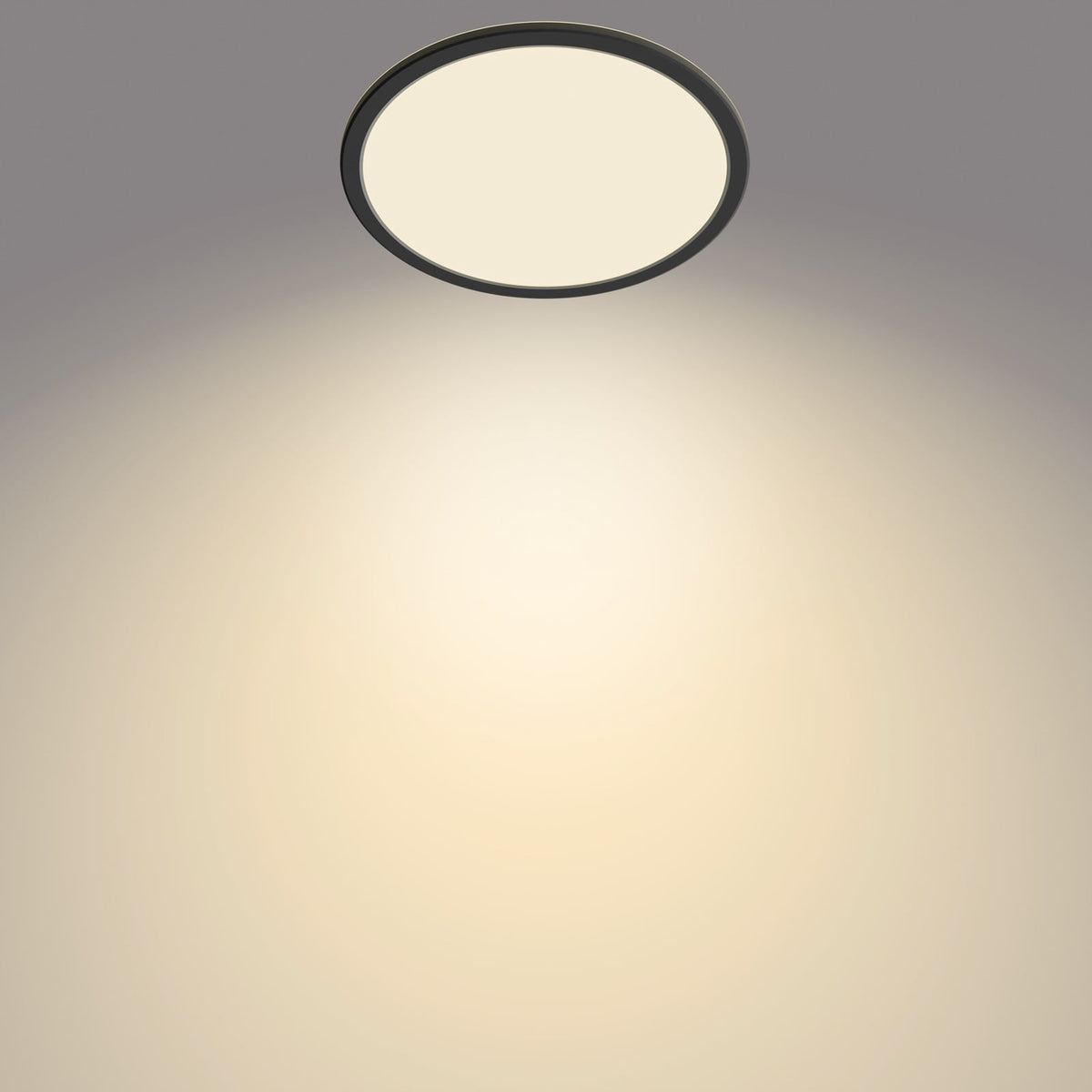 LED taklampe SuperSlim dimbar svart Ø24,5 cm IP44 15W - Philips nærbilde