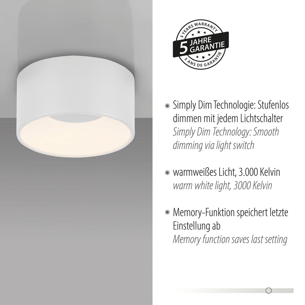 LED taklampe Tanika dimbar hvit lysdetalj