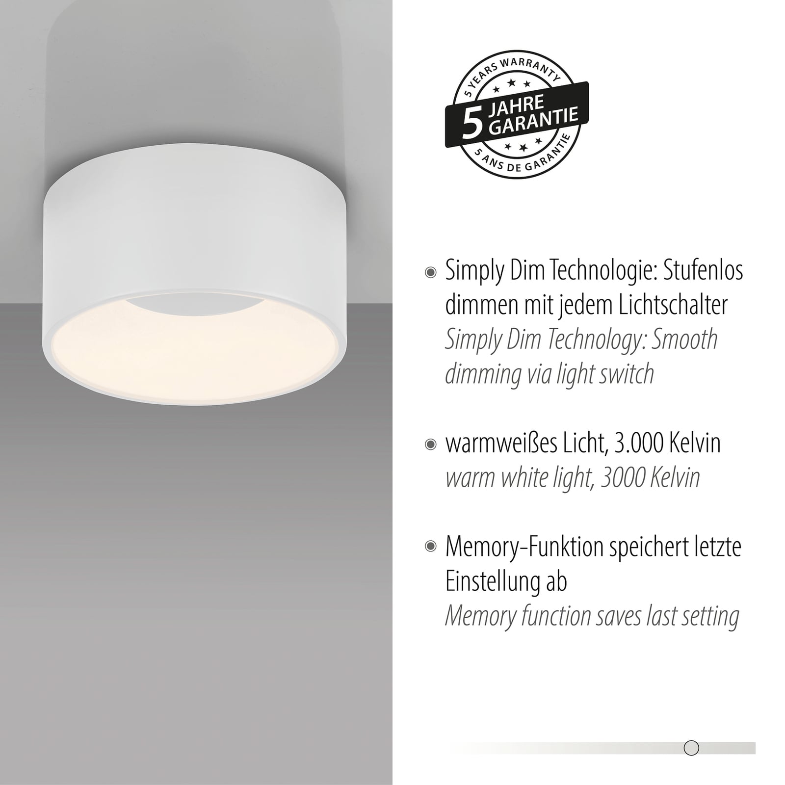 LED taklampe Tanika dimbar hvit lysdetalj