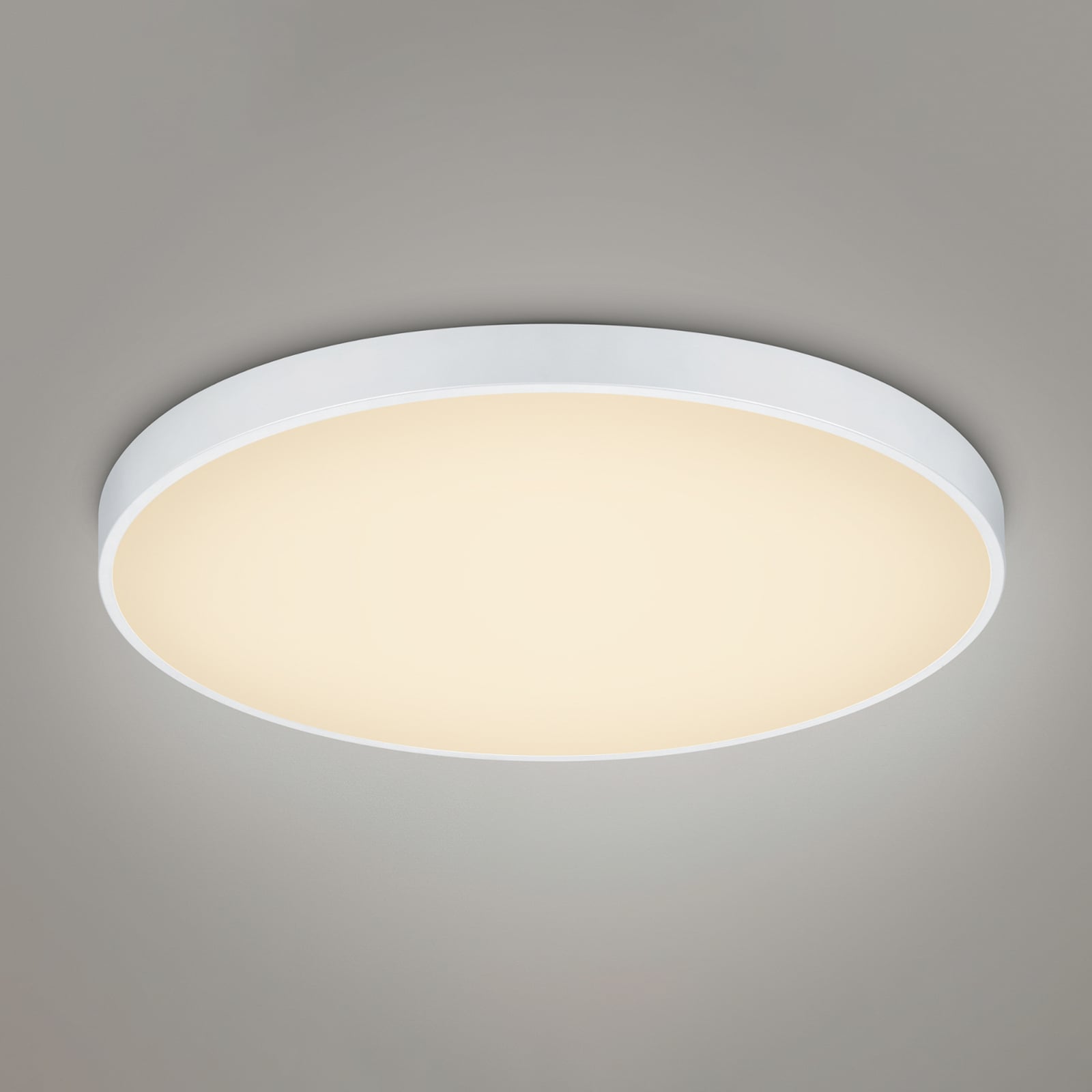 Montert LED taklampe Waco CCT dimbar matt hvit Ø75 cm 102W i rom