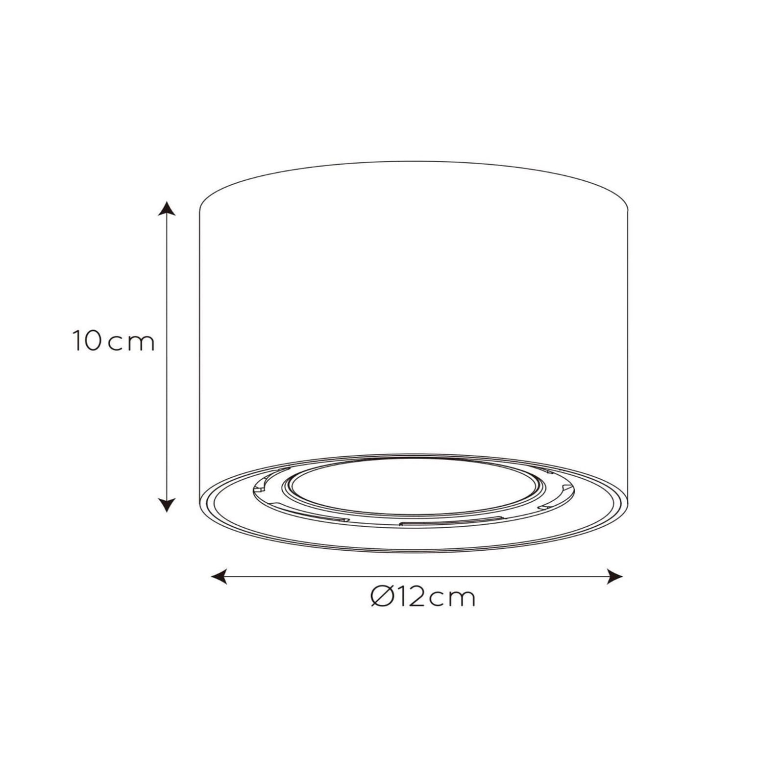 LED takspot Fedler dim-to-warm svart Ø12 cm GU10 - nærbilde av lyskilde