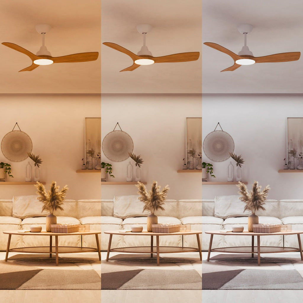 LED takvifte Olas med fjernkontroll side Philips